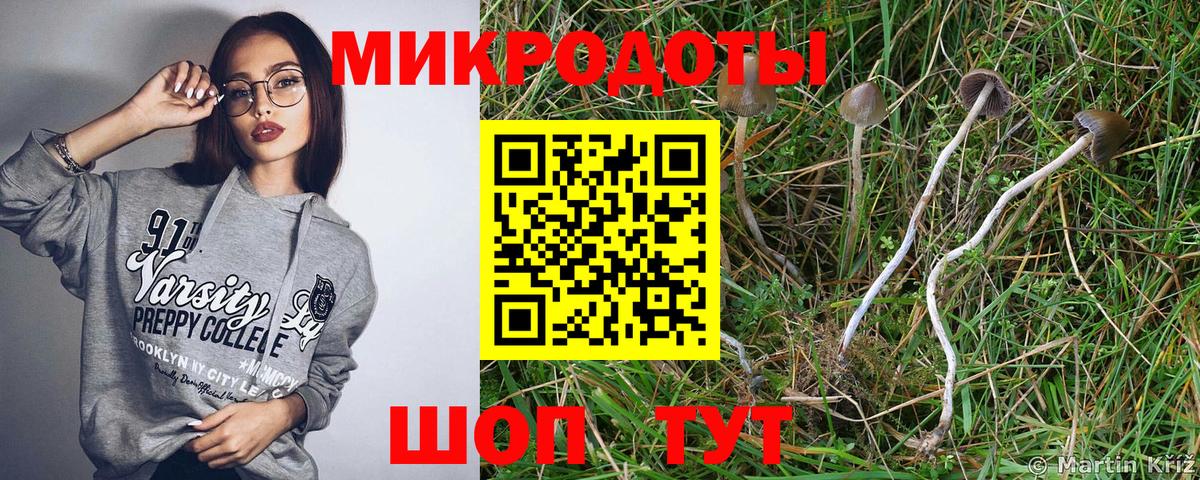 Искитим  Псилоцибиновые грибы MAGIC MUSHROOMS  продажа наркотиков  Псилоцибиновые грибы Psilocybe  Вход с VPN 
